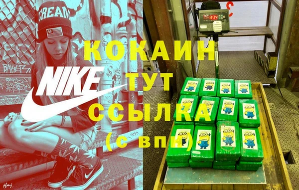 кокс Алексин