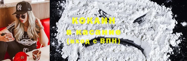 прущие грибы Алзамай