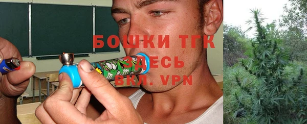 прущие грибы Алзамай