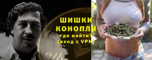 прущие грибы Алзамай